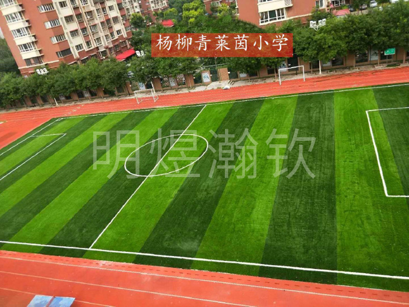 杨柳青莱茵小学 